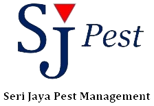 logo-sj