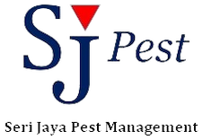 logo-sj